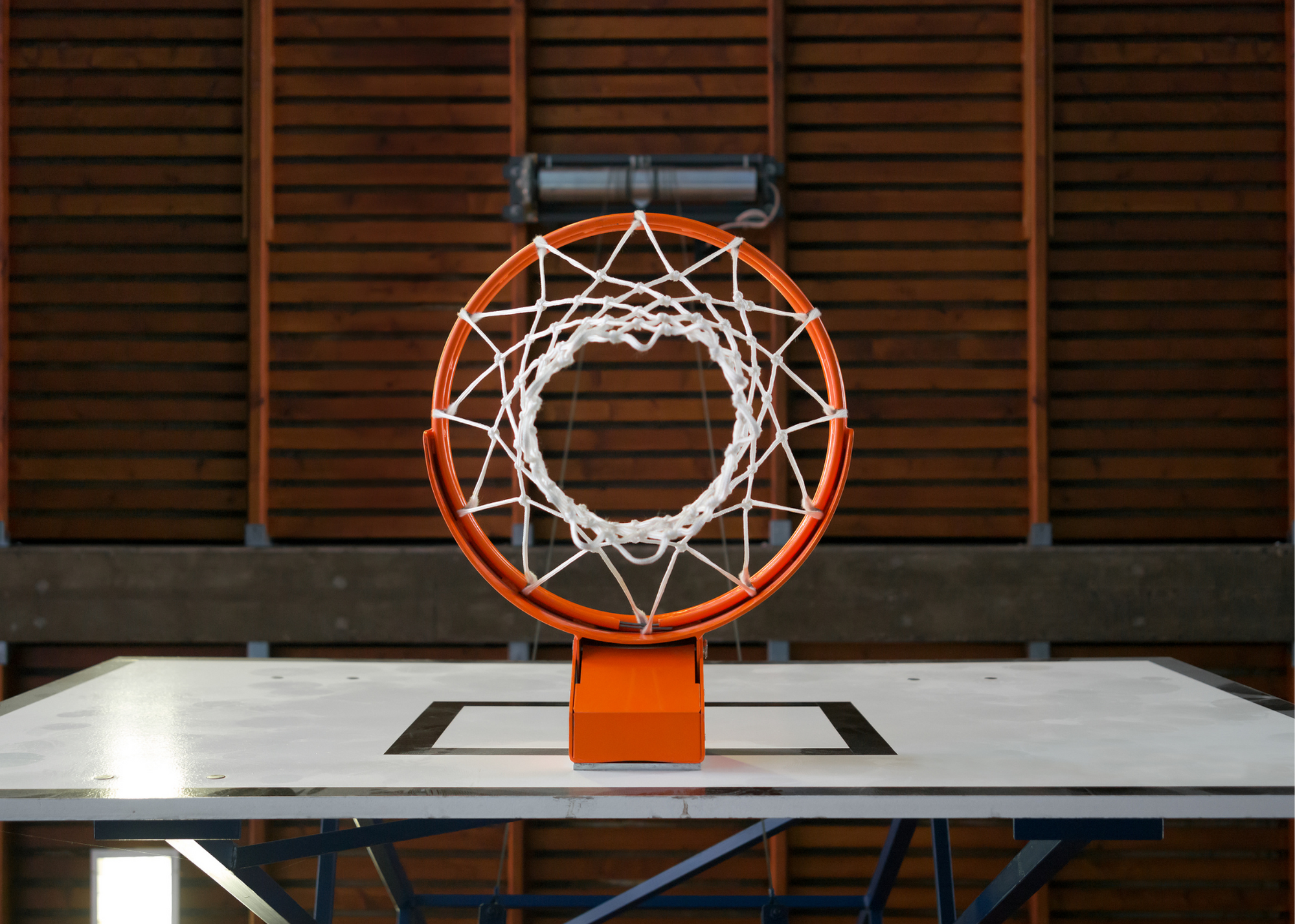 Hoop Quake Basketball